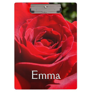 Pranchetas Flor Rosa vermelha brilhante Flor