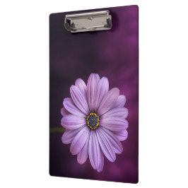 Pranchetas Flor Roxo no Bloom