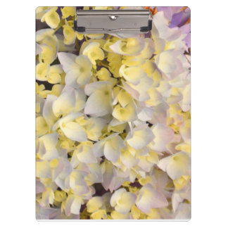 Pranchetas Floral clipboard 