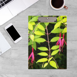 Pranchetas Floral de Fúchsia Cor-de-Rosa