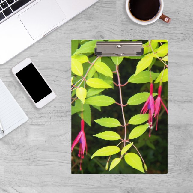 Pranchetas Floral de Fúchsia Cor-de-Rosa (In Situ)