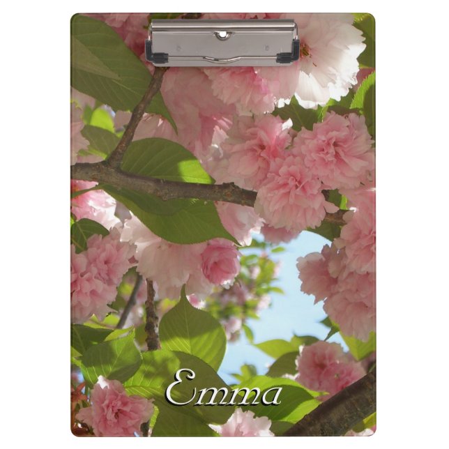 Pranchetas Floral Primavera da Árvore III da Cherry com duas  (Frente)