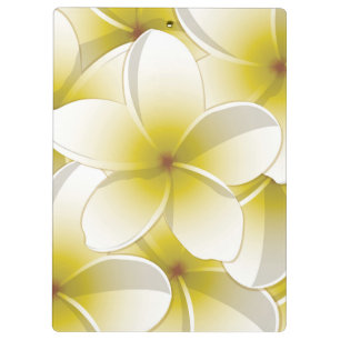 Pranchetas Flores Brilhantes Frangipani/ Plumeria