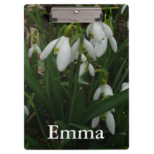 Pranchetas Flores de primavera Brancas I (Galanthus)