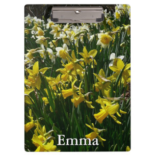 Pranchetas Flores de primavera de Daffodils Amarelos e Branco