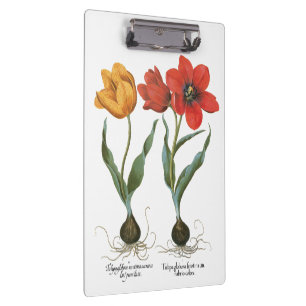 Pranchetas Flores de Tulipa da Primavera Vintage por Basilius