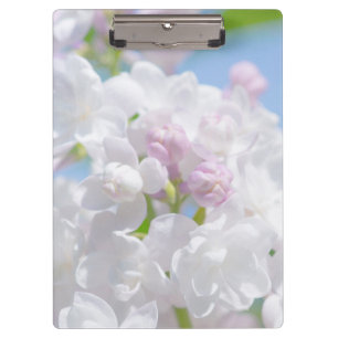 Pranchetas Flores Lilac