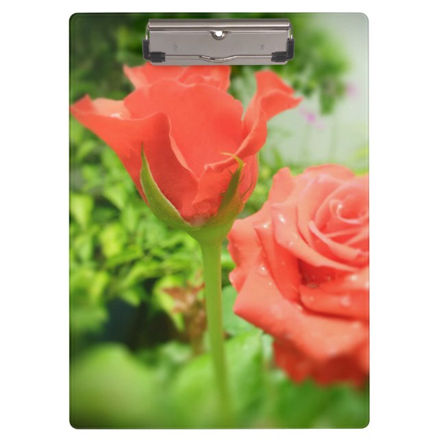 Pranchetas Flores Românticas de Rosa (Frente)
