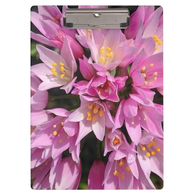 Pranchetas Flores Tropicais Rosa e Amarelo (Frente)