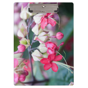 Pranchetas Flores Tropicais Vermelhas Rosa e Branca