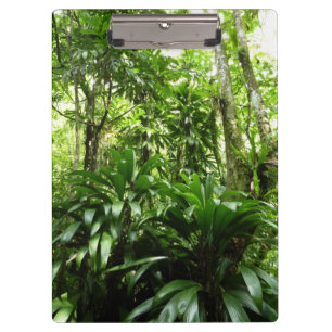 Pranchetas Floresta Dominicana I Natureza Verde Tropical