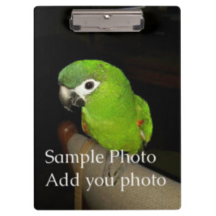 Pranchetas Foto Cllipboard (em ambos os lados)