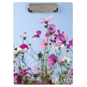 Pranchetas Foto de Prlower Meadow rosa e roxa