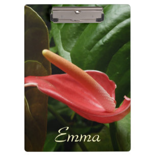 Pranchetas Fotografia Floral Rosa Calla Lily Elegante