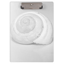 Fotografia Minimalista da Concha de Caracol Branco