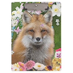 Pranchetas Fox do conto no Campo das Flores