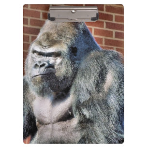 PRANCHETAS FUNNY GORILLA