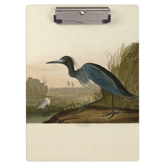 Pranchetas Garça Azul Grou Impressão Audubon Arte Costeira (Frente)