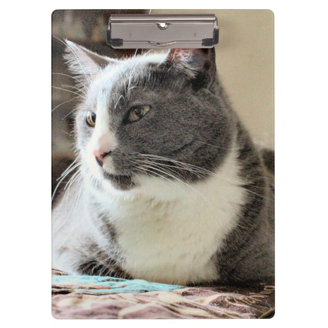 Pranchetas Gato (Frente)