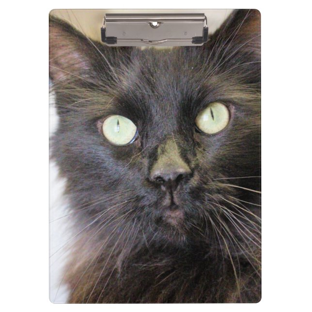 Pranchetas Gato (Frente)