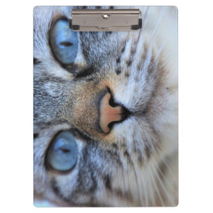 Pranchetas Gato de cinza