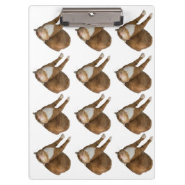 Pranchetas Gato de Sol de Cabeça para Baixo