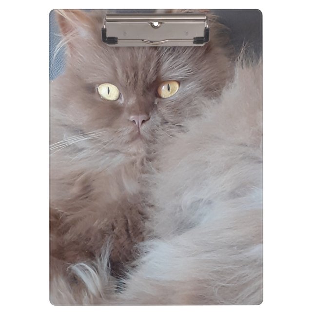 Pranchetas Gato fofinho (Frente)