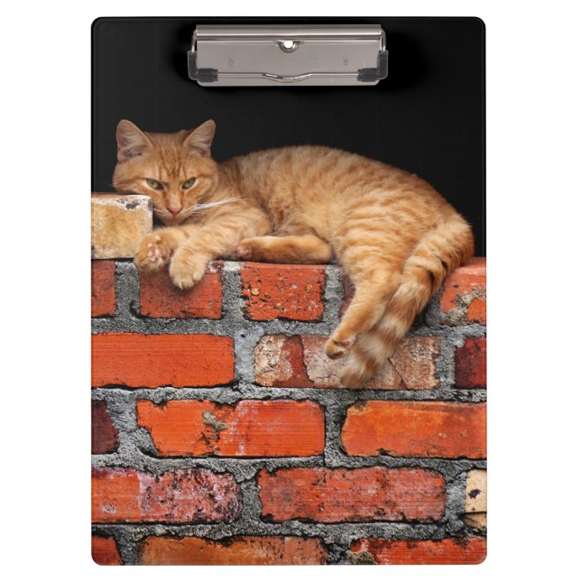 Pranchetas Gato na Parede Brick (Frente)