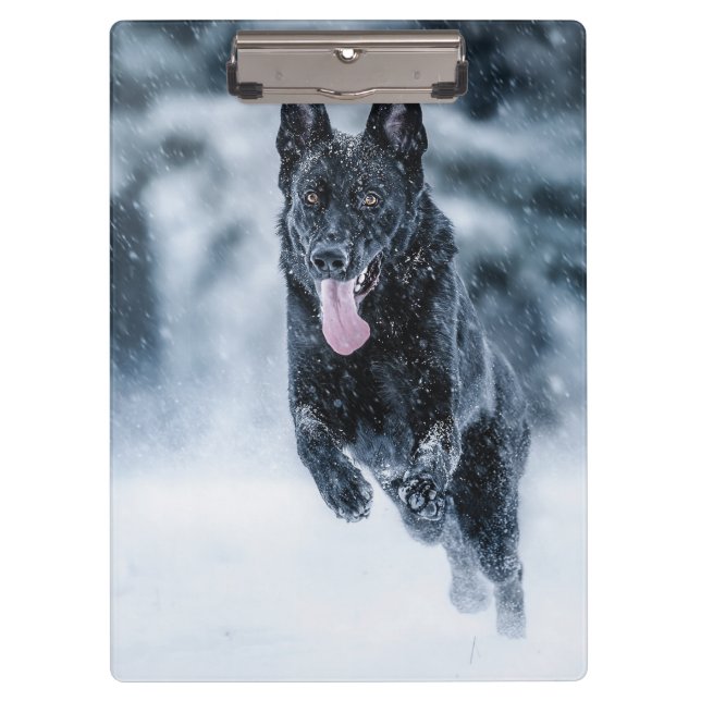 Pranchetas German shepherd preto no Cobrir da escova de neve (Frente)