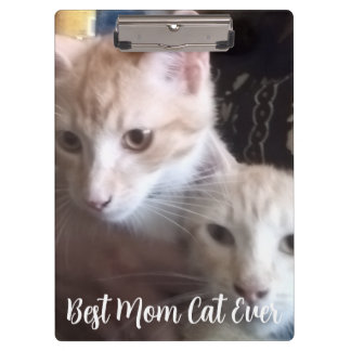 Pranchetas Ginger cat