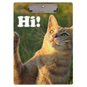 Pranchetas Ginger Cat Dizendo Oi!