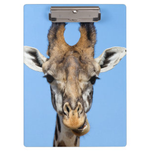 Pranchetas Girafa