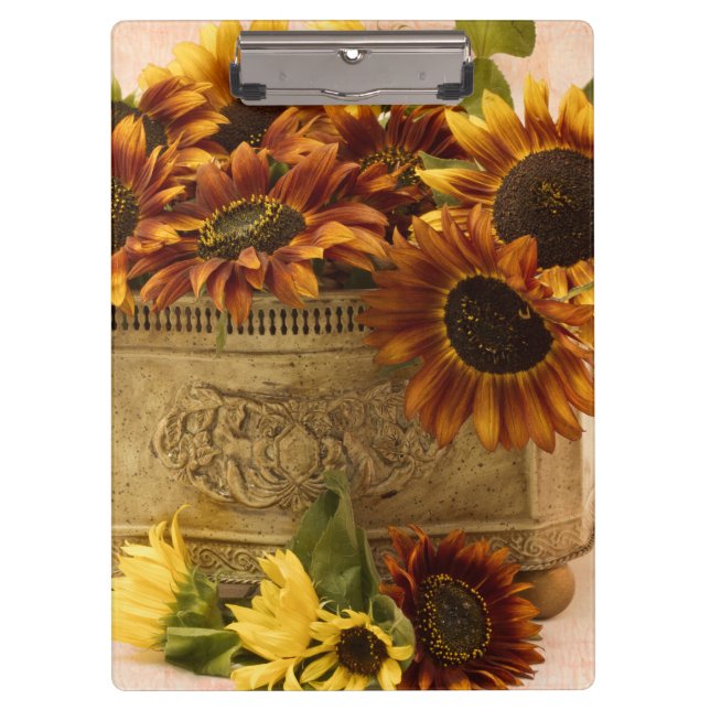 Pranchetas Girassóis De Laranja No Soquete De Tin (Frente)