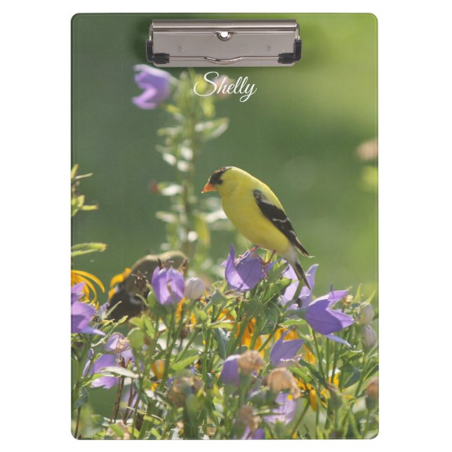 Pranchetas Goldfinch em uma Flor Harebell (Frente)