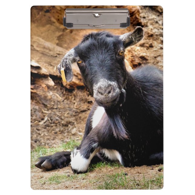 PRANCHETAS GOTA BONITA (Frente)