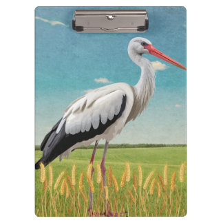 Pranchetas Guardião dos Campos