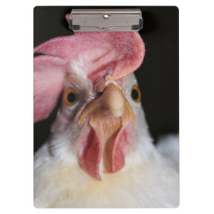 Pranchetas Hen