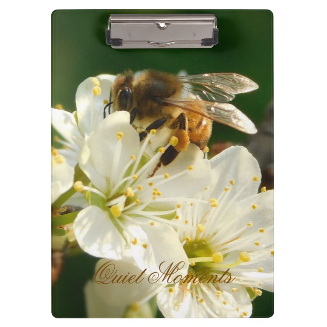 Pranchetas Honey Bee Plum Blossom Nature Study Clipboard (Frente)