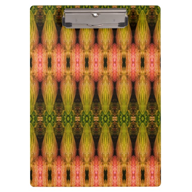 Pranchetas Hosta La Vista Demasiado 12 1974 (Frente)