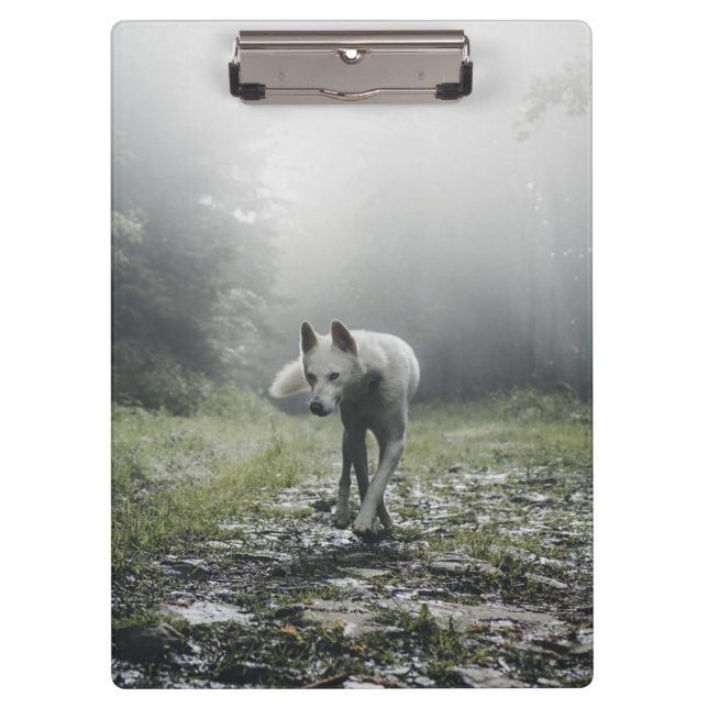 Pranchetas Husky Siberiano Branco (Frente)