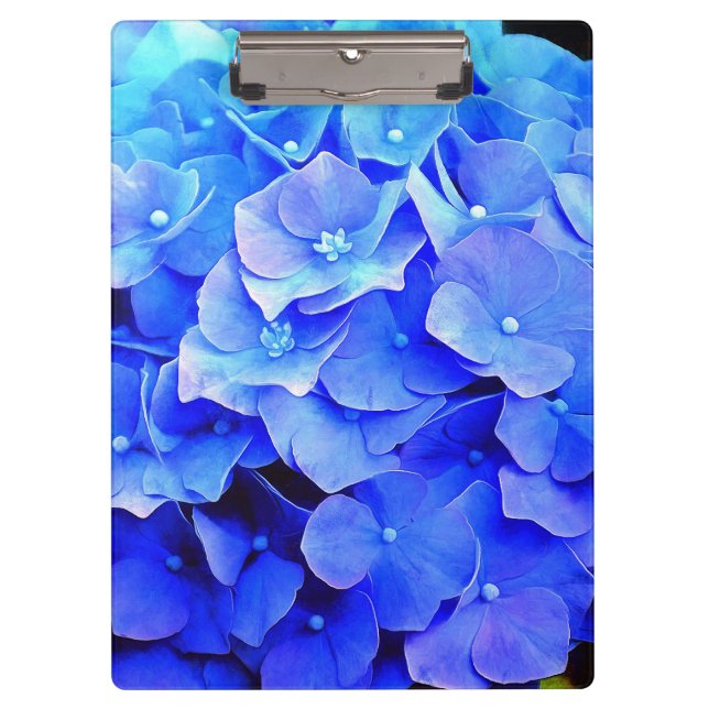 Pranchetas Hydrangea Blues (Frente)