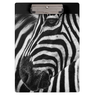Pranchetas Ilusão de Zebra