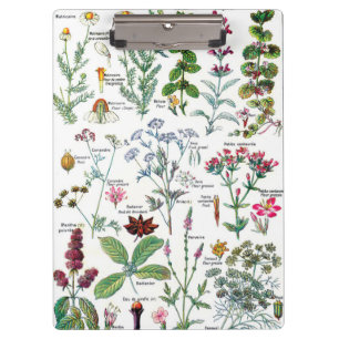 Pranchetas Ilustrações botânicas - plantas de Larousse