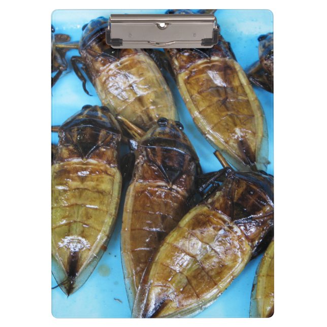 Pranchetas Inseto De Água Gigante Fried (Maeng Daa) ... Comid (Frente)