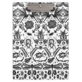 Pranchetas Insetos e Insetos