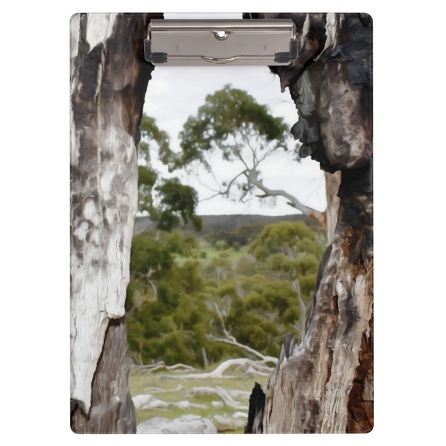 Pranchetas Janela da Natureza (Frente)