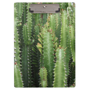 Pranchetas Jardim Cactus