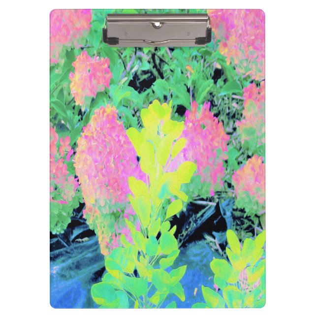 Pranchetas Jardim de Hydrangea rosa com folhagem amarela (Frente)