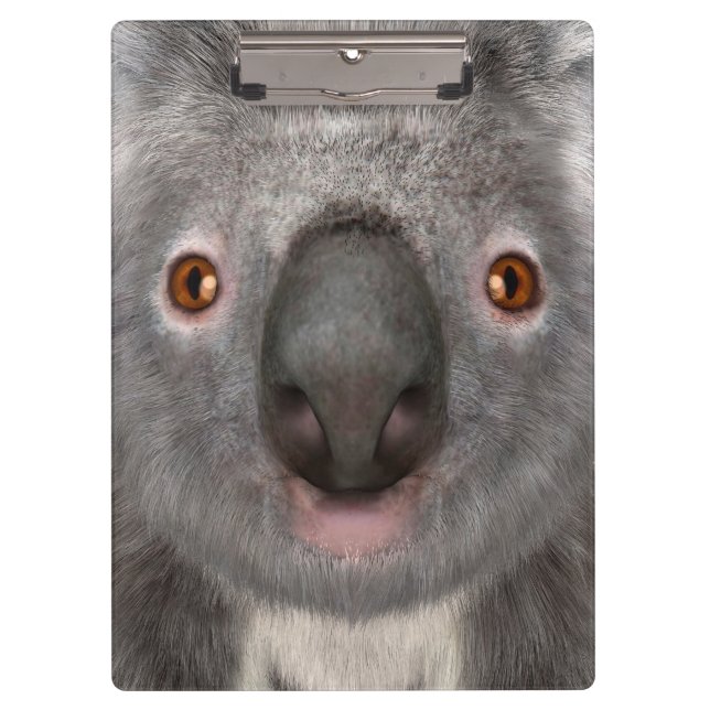 Pranchetas Koala Bear (Frente)