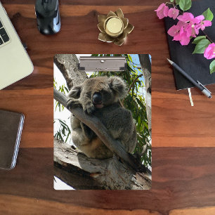 Pranchetas Koala - Dormindo